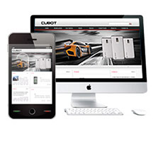 深圳網(wǎng)站建設(shè)-解決方案案例